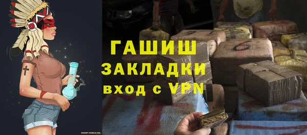 гидра Богданович