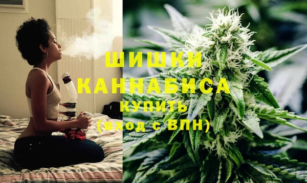 МДПВ Богородск