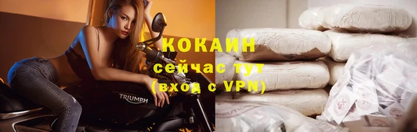 индика Инсар