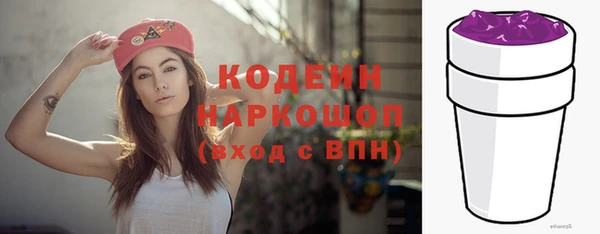 гидра Богданович