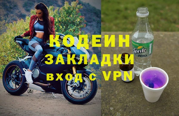 индика Белокуриха