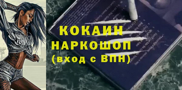 МДПВ Богородск