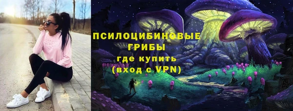 МДПВ Богородск