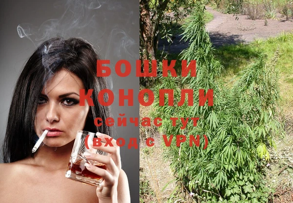 гидра Богданович