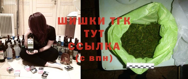 МДПВ Богородск