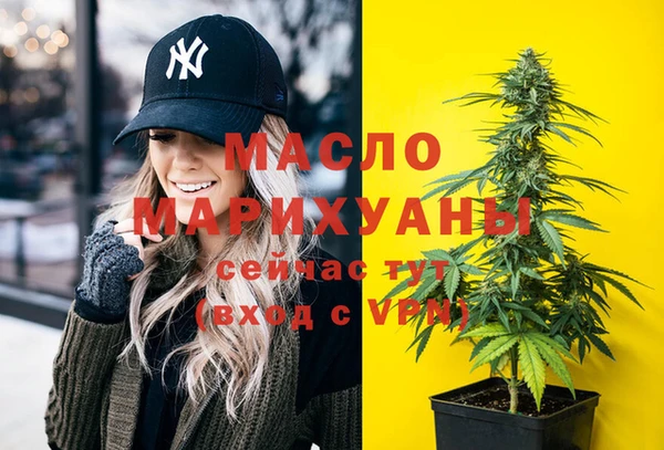гидра Богданович