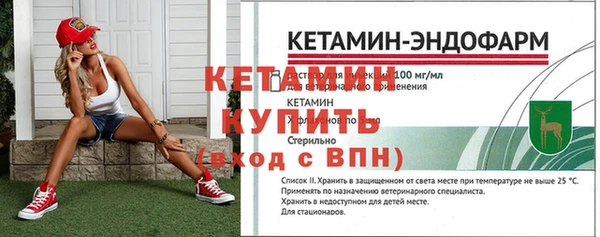 гидра Богданович